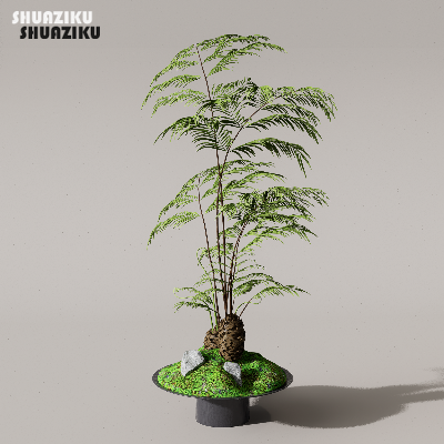 图片[27]-D5渲染器苔藓小品摆件模型29个-刷子库