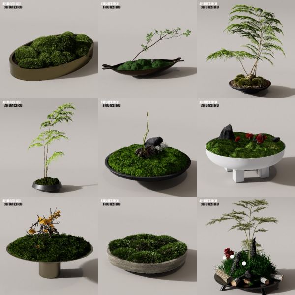 D5渲染器苔藓小品摆件模型29个-刷子库